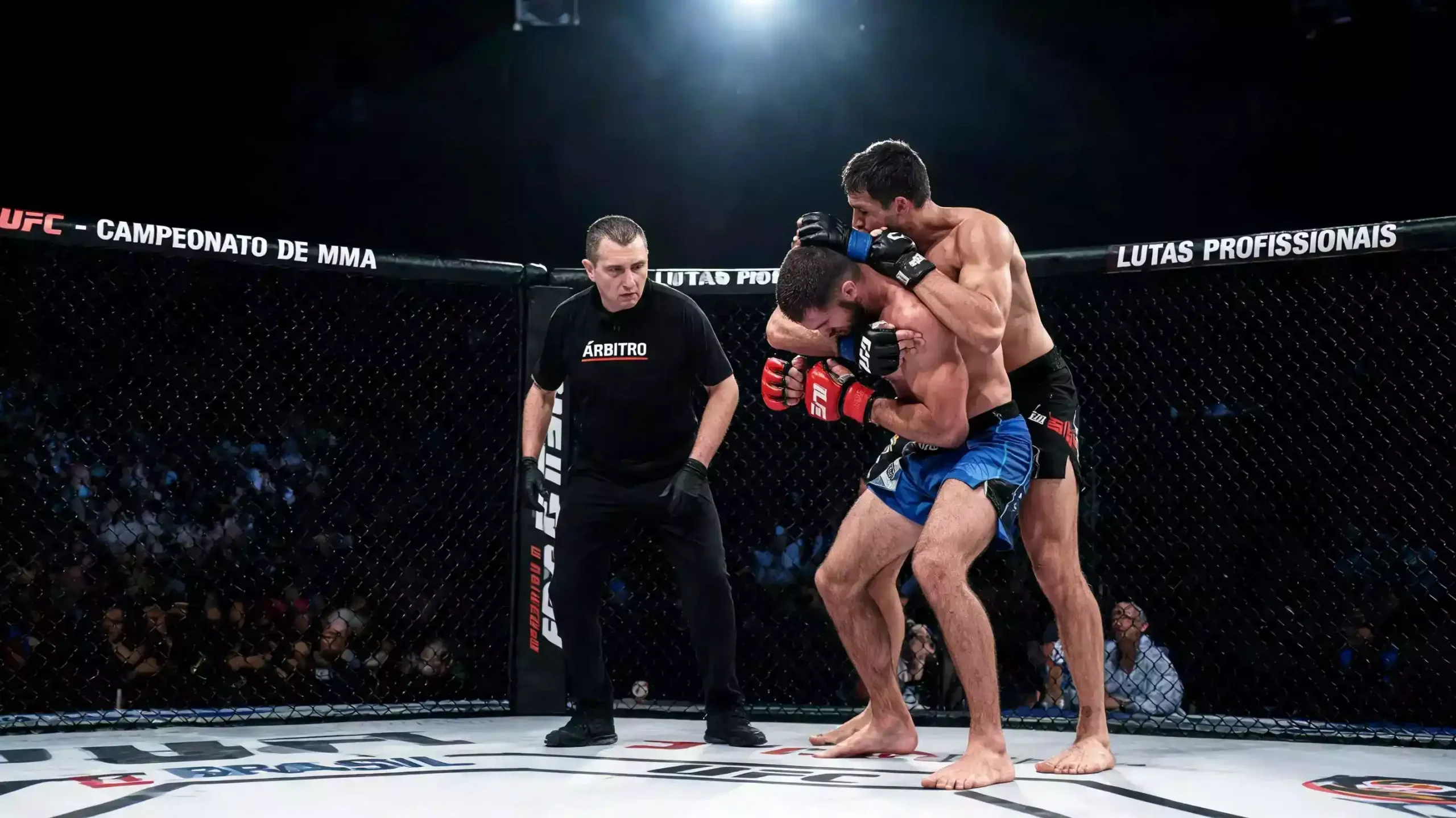 Distribuição dos métodos de vitória no UFC com percentagens de KO submissão e decisão