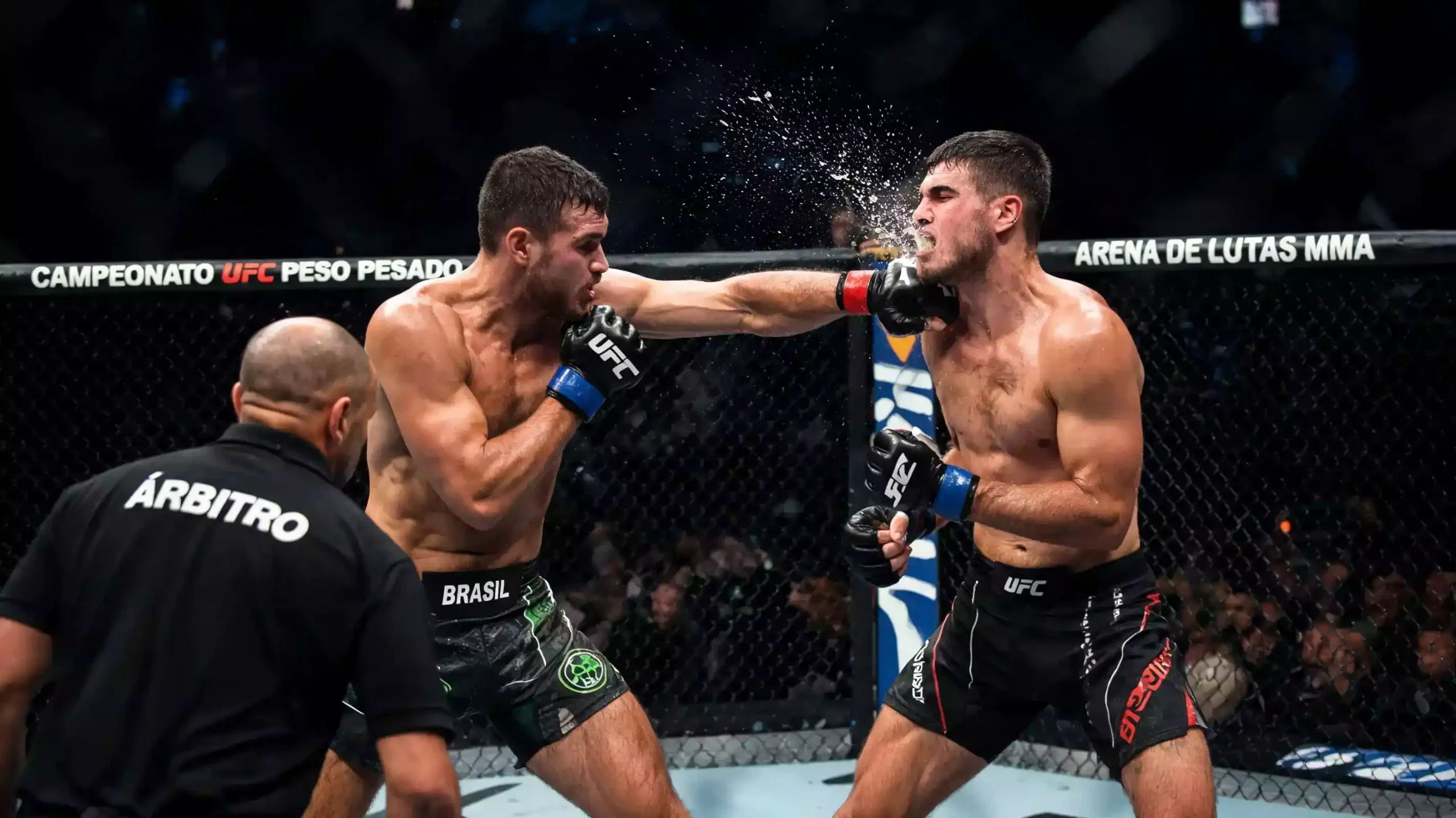 Lutador de UFC a aplicar um nocaute com estatísticas de KO por divisão