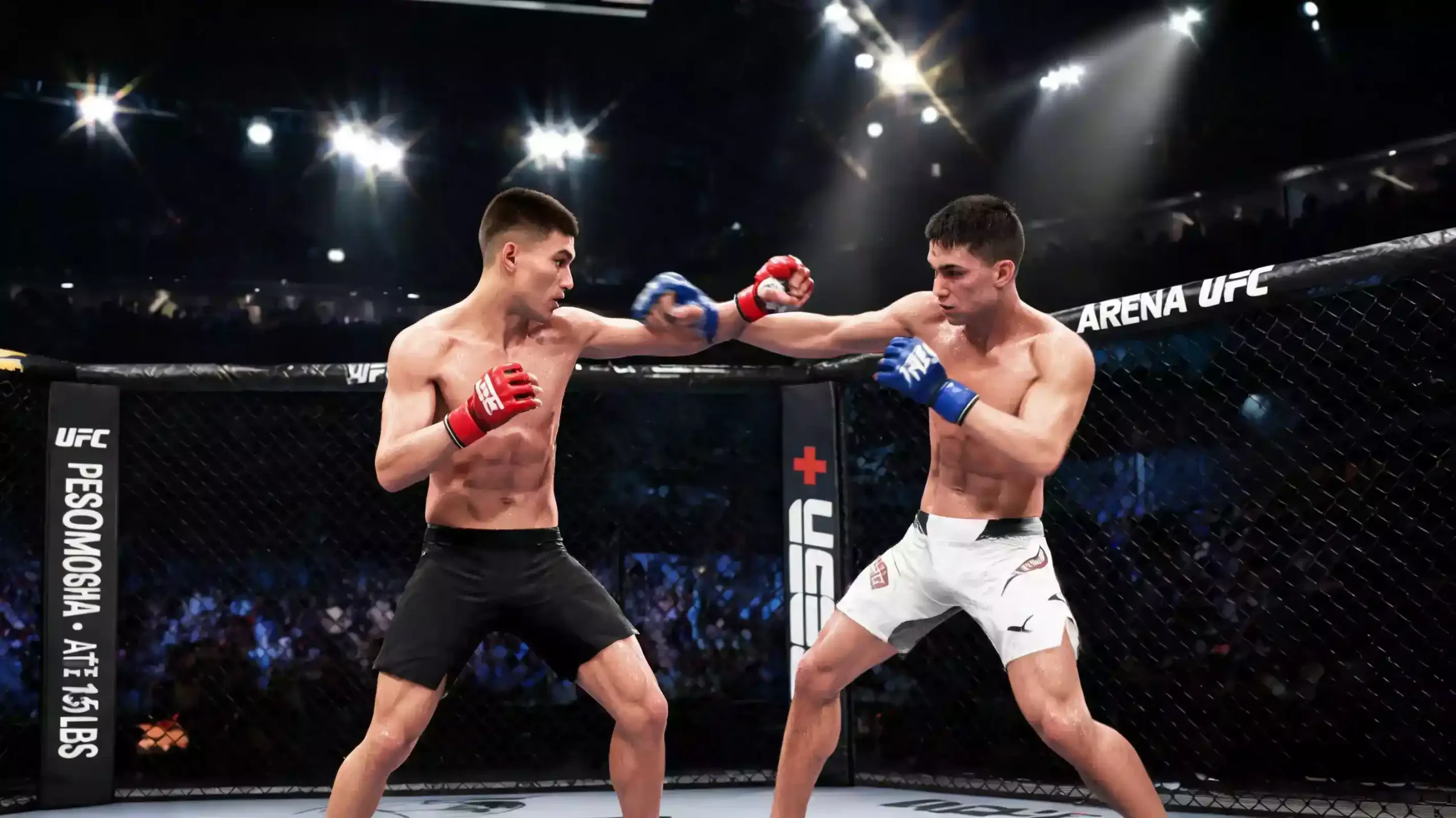 Análise da divisão peso galo do UFC para apostas desportivas em 2026